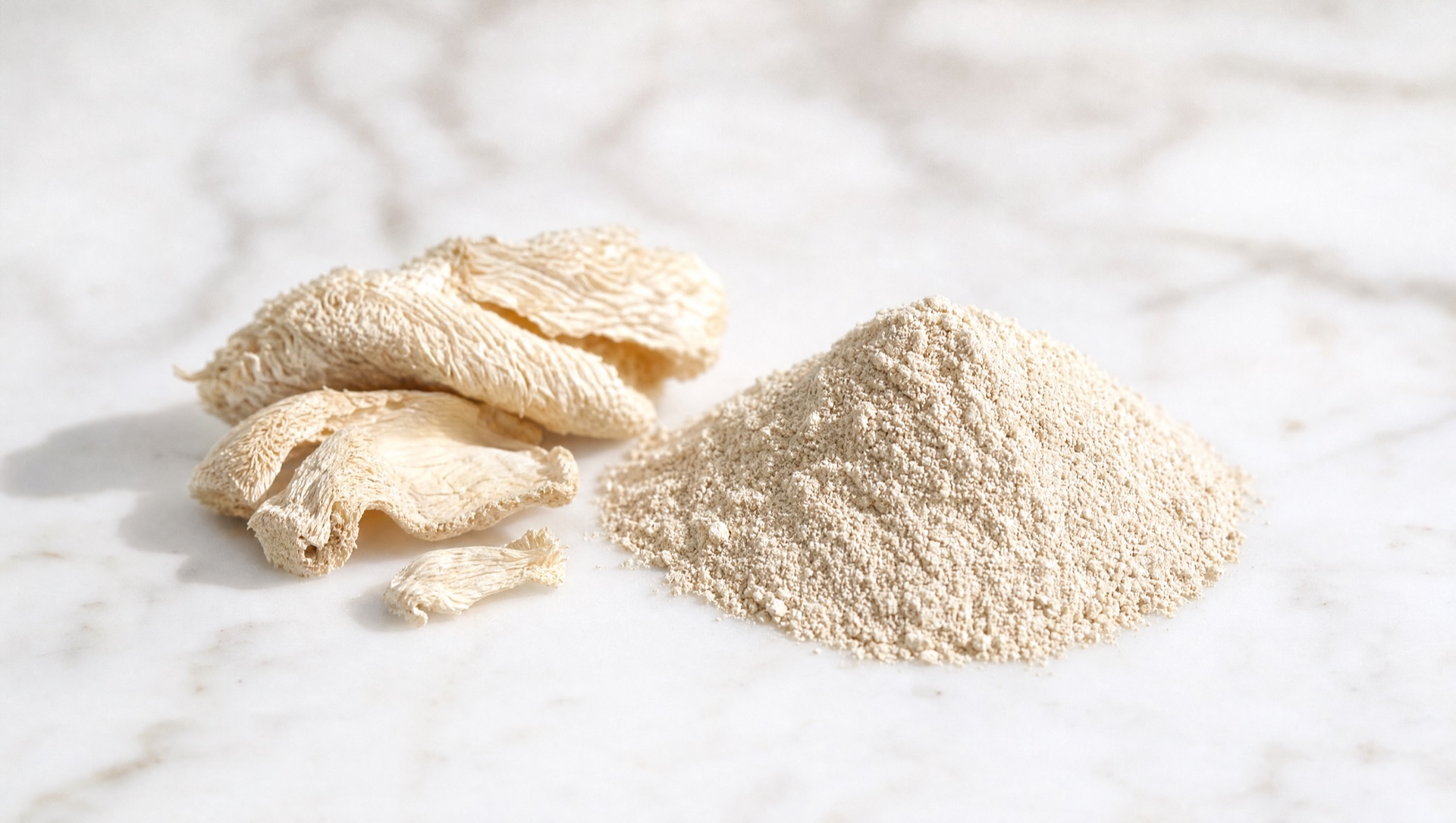 Dried mushroom pieces and extract powder